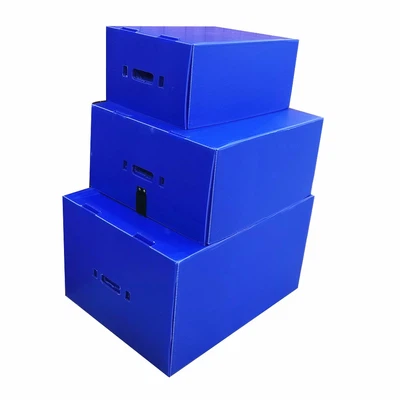 PP Corrugated LPlastic Box PP Corrugated LPlastic Box