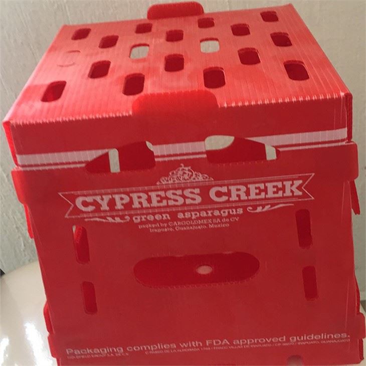 Corrugated plastic vegetable box