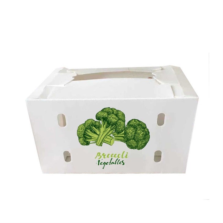 Plastic PP Corrugated Corn Box