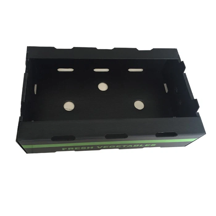 PP Corrugated Plastic Collapsible Boxes