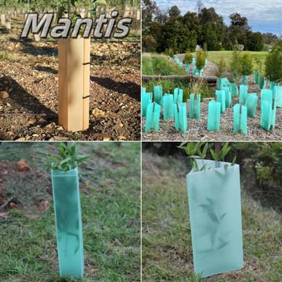 Mantis Plastic Tree Guard-Guardião Verde para Proteção de Árvores