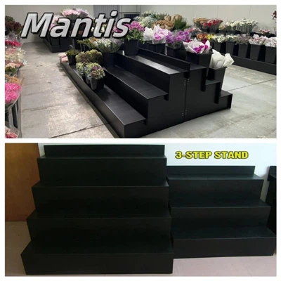 Mantis Flower Display Stand: mostrando a arte da natureza em elegância